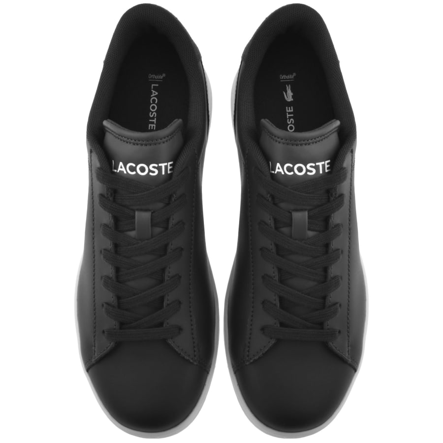 Basket carnaby evo lacoste shop